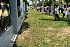 沙井绿点大量招临时工22元一个小时 今天很多人过来报道