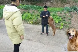 知道为什么那么多人喜欢狗狗吗，看完邻居家的小狗就知道了特搞笑