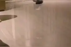 一只猫想从栅栏缝里钻出去，结果中途被卡住了，太胖了影响发挥