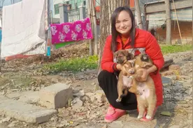 可爱的两只小狗被美女收养 过着幸福快乐的日子 主人善良美丽视频封面