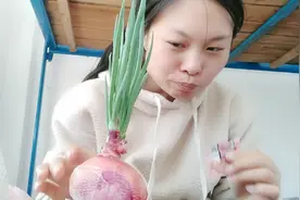 洋葱发芽了，能不能吃有没有毒视频封面
