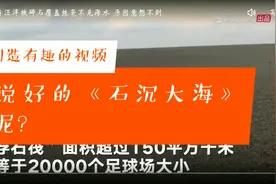 石头漂浮在海面上，面积大约20000个足球场大小。视频封面