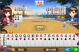 输的牌竟然名牌，我是不是进水了，胆子太大了