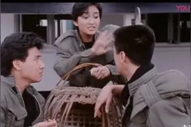 说的头头是道，鸡一天生七个蛋，专家这是真的吗？？！视频封面