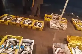 实拍广东最大海鲜批发市场，夜晚里仍然人头涌涌 热闹非凡视频封面