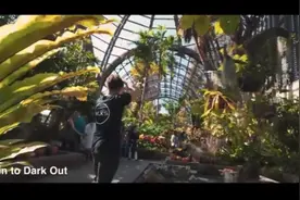 拍vlog必备，10种实用转场拍摄技巧，学会你就是大神~