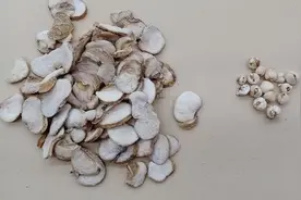 川贝母与浙贝母！视频封面