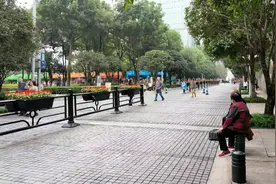 重庆花博会视频封面