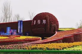 北京世园会，花海美景无极限视频封面