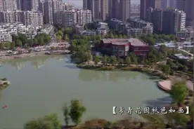 武汉临空港经开区 秋色如画的常青花园视频封面