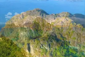 大案纪实：90年代辽宁营口“段氏四兄弟”特大流氓集团案：奸淫视频封面
