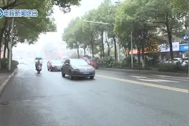 真假驾驶证图片