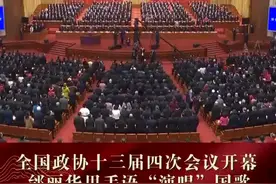 独家视频丨无声的力量也能震撼人心！全国政协委员邰丽华用手语“演唱”国歌图片
