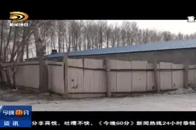 电费高得离谱 用户质疑电表有问题图片