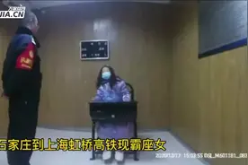 「视频」阜阳到上海的高铁惊现“霸座女”乘警多次劝告仍不肯让座图片