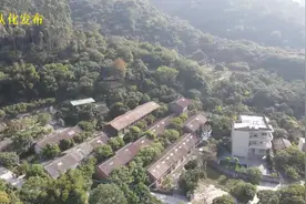 远离城市烦嚣，与原生态木材为伴！从化这个小镇诠释了所有！图片