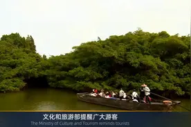 清明假期还能出游吗？官方回应视频封面