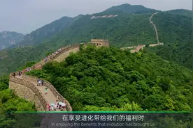 同样都是体毛，头发能一直生长，为何腋毛、阴毛不能一直生长？视频封面