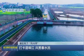 打卡酒埠江 共赏春水流图片