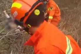 越野车景区内侧翻山沟，武汉黄陂消防紧急救援图片