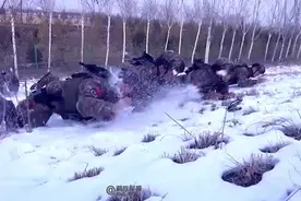 武警战士雪中赤膊搏击 网友表示“十万个佩服！”图片