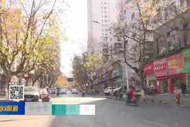 寒冬季节 梧桐“整容”图片