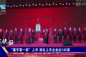 “魔芋第一股”上市，湖北上市企业达140家视频封面