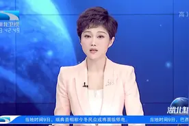 湖北“十二条”措施解读：保障群众购药就医需求和社会正常运转视频封面