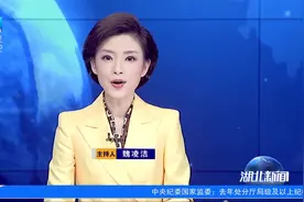 《武汉新城规划》今天发布 横跨武汉鄂州两市视频封面