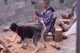 你看你这是干啥呀，有话好好说不行吗，别动手动脚的，这样不好！