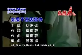 林志炫-如果不是因为你(Live)视频封面