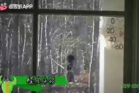 五个真实存在的恐怖人类视频封面