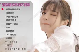 精选12首热门中文老歌，用英文来演唱，除了好听还是好听，47分钟