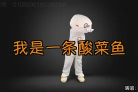 最新神曲：我是一条酸菜鱼，又酸又菜又多余