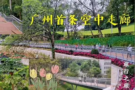 广州首条空中步道，沿途八公里靓丽风景，小伙伴们快来打卡啦！视频封面