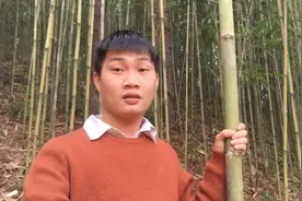 竹子太大难卖，小伙想办一个竹签厂听了卖机械的老板说后不敢办了