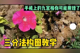你真的会手机九宫格“拍照”吗？3分钟详解三分法构图，建议收藏