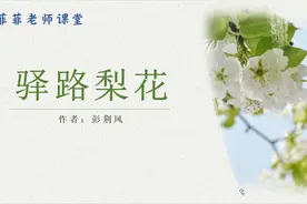 七年级下册第14课《驿路梨花》详细讲解。体会梨花的象征意义视频封面