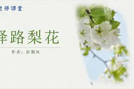 七年级下册第14课《驿路梨花》详细讲解。体会梨花的象征意义视频封面