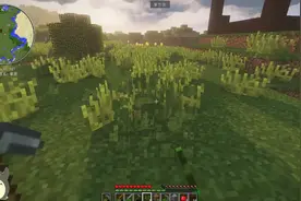 我的世界：清理杂草中，知道清理杂草的时候什么得到什么吗？