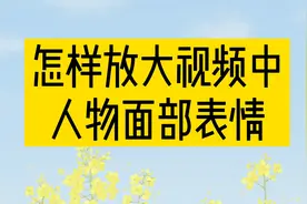 怎样放大视频中人物面部表情视频封面