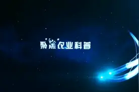 现代农业科技丰收节嘉宾专访 中国农业大学上庄实验站站长肖杰视频封面