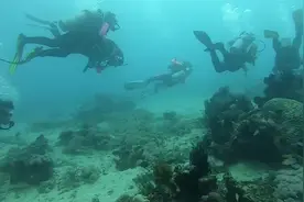 谋杀？男子潜水时关闭同行潜友氧气瓶 事后竟然自称是在开玩笑