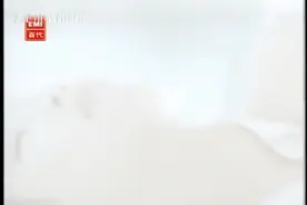 【超经典】 彭羚 - 囚鸟 1996 超清 MV_