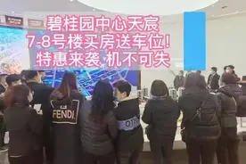 #幸福里性价比好房推荐 碧桂园中心天宸 134万起图片