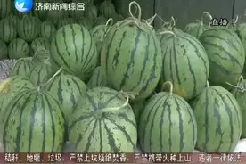 吃瓜群众有福利啦！快来领取“西瓜地图”视频封面