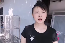 有架子vs无架子的雨棚效果不同 ,小蜜蜂分享雨棚知识详细又实在!