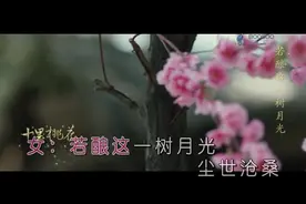 一首《十里桃花》，浓浓的古风甜美情歌，完全融入歌声中！