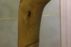 太君龙头手杖视频封面