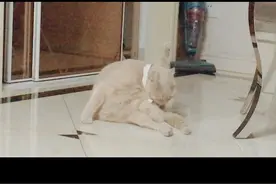 来不及了，快上车！！！